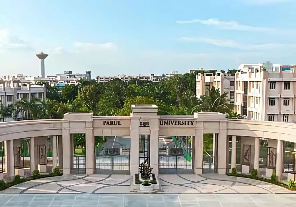 WhatsApp Image 2025-03-12 at 10.52.03 AM